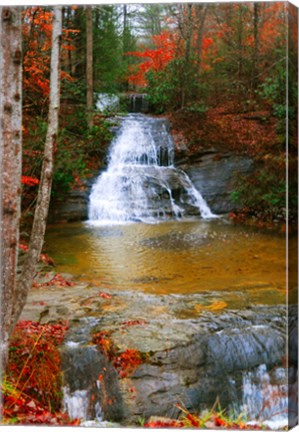 Framed Water Fall Print