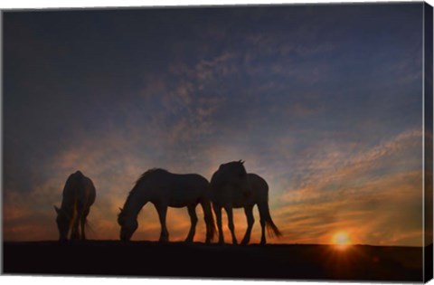 Framed Camargue Sunrise Print