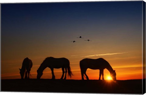 Framed Fly Over Print