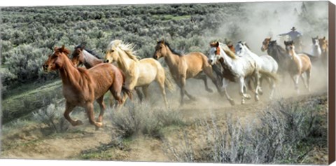 Framed Stampede I Print