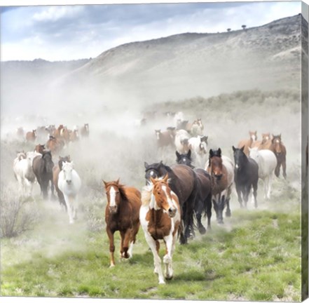 Framed Stampede II Print