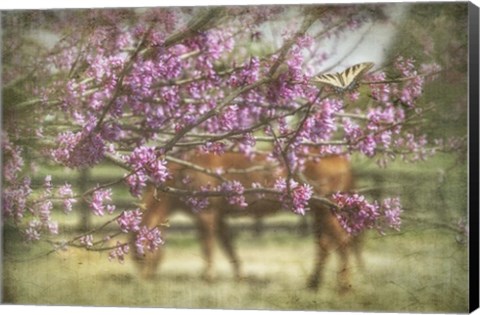 Framed Spring has Sprung Print