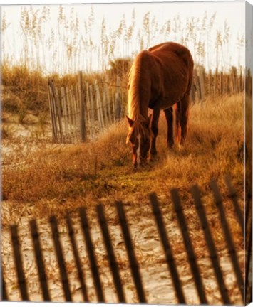 Framed Solitary Light Print