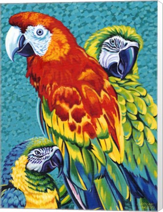 Framed Birds in Paradise III Print