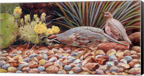 Framed Quail Pair Print