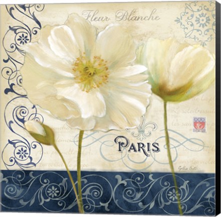 Framed Paris Poppies Blue Trim I Print