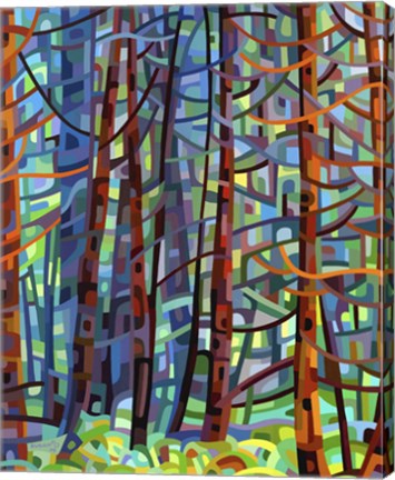 Framed In A Pine Forest Print