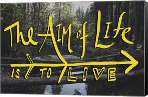 Framed Aim of Life Print