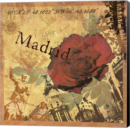Framed Latitude and Longitude Travel to Madrid Print