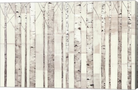 Framed Birch Trees on White Print