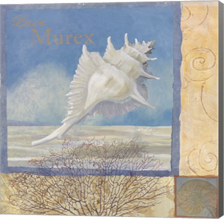 Framed Ocean Beauties I Print