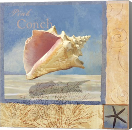 Framed Ocean Beauties II Print