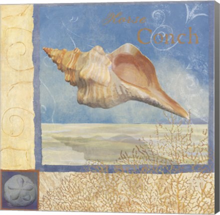 Framed Ocean Beauties III Print