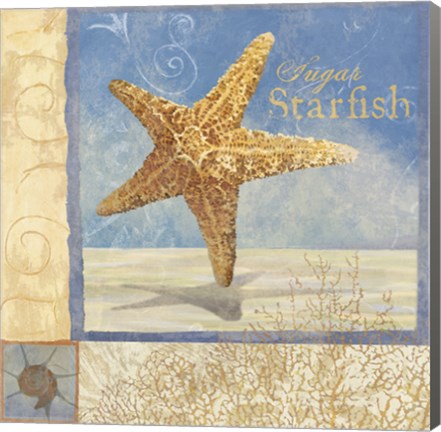 Framed Ocean Beauties IV Print