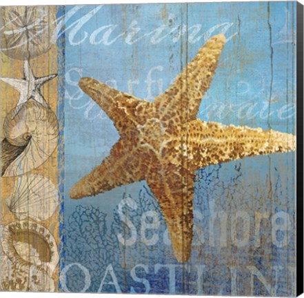 Framed Starfish and sea Print