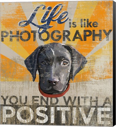 Framed Dog days - Lab Pup Print