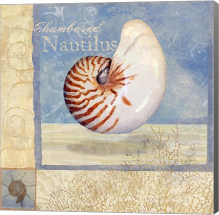 Framed Ocean Beauties V Print