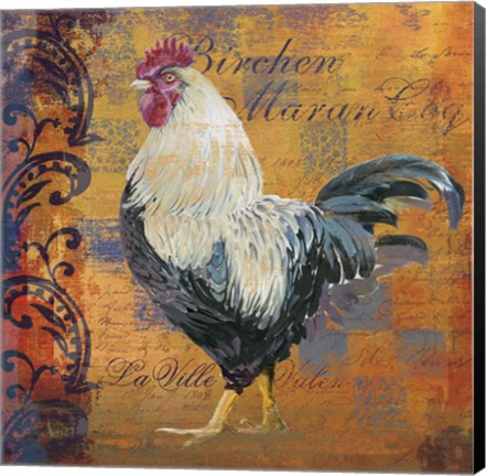 Framed Coq Motifs III Print