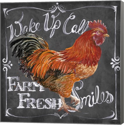 Framed Rooster on Chalkboard II Print