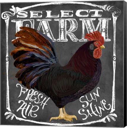 Framed Rooster on Chalkboard III Print