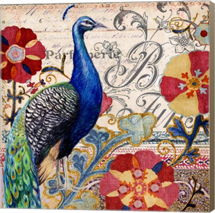 Framed Peacock Decore I Print