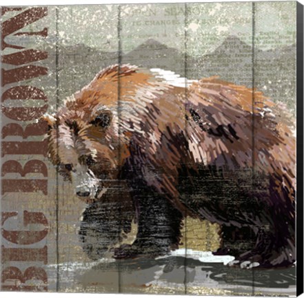 Framed Open Season Bear Print