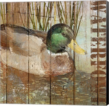 Framed Open Season Mallard Print