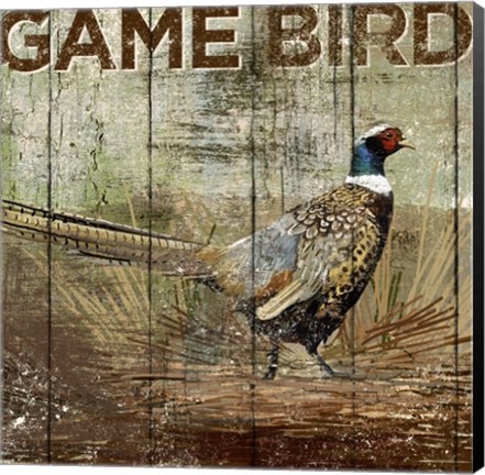 Framed Open Season Pheasant Print