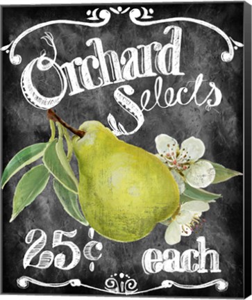 Framed Orchard Selects Print