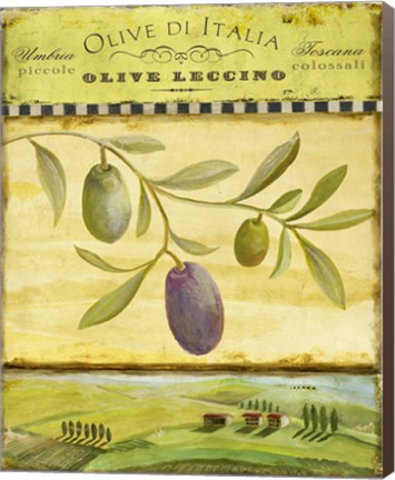 Framed Olive Grove Tuscana Print