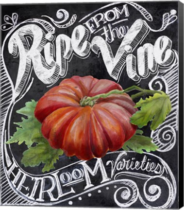 Framed Chalkboard Tomato Print