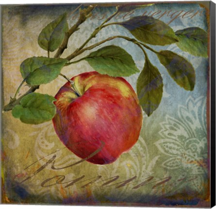 Framed From The Grove Apple Print