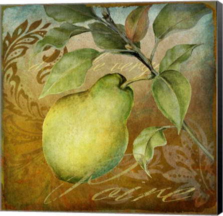 Framed From The Grove Pear Print