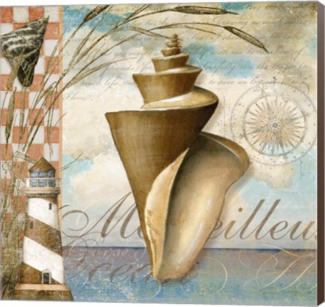 Framed Shell Dreams 1 Print