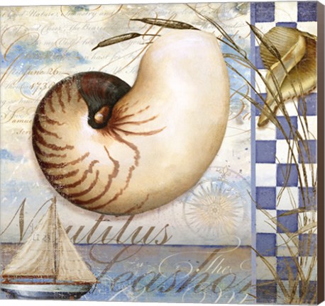 Framed Shell Dreams 2 Print