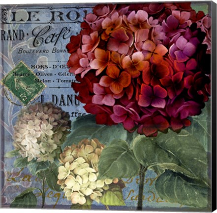 Framed Rouge From the Garden I Print