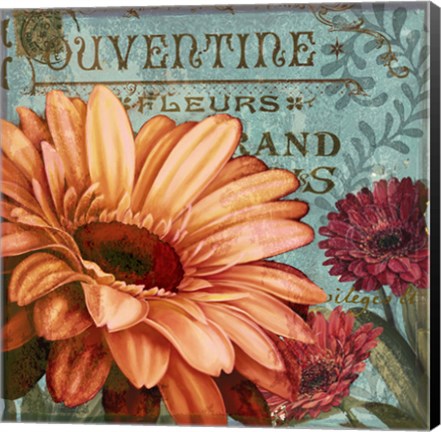 Framed Rouge From the Garden II Print