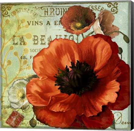 Framed Rouge From the Garden III Print