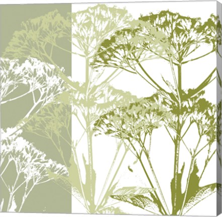 Framed Delicate Greens Print