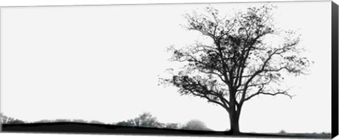 Framed Almost Winter Print