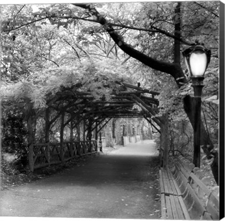 Framed Central Park Pergola Print