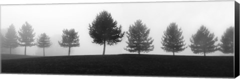 Framed Tree Line Print