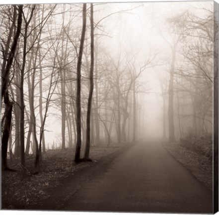 Framed Foggy Path Print