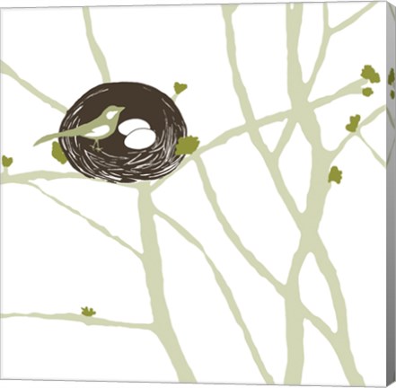 Framed Feathers and Twigs Print