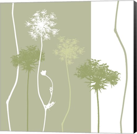 Framed Queen Anne&#39;s Lace Print