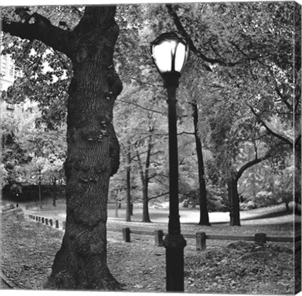 Framed Light in Central Park Print