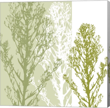 Framed Gossamer Greens Print
