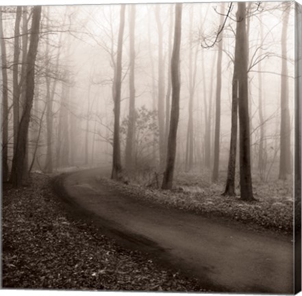 Framed Misty Lane Print