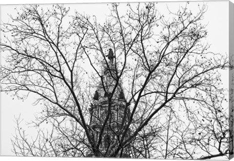 Framed City Hall (Branches) Print