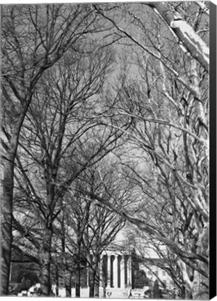 Framed Philadelphia Museum (Trees) Print